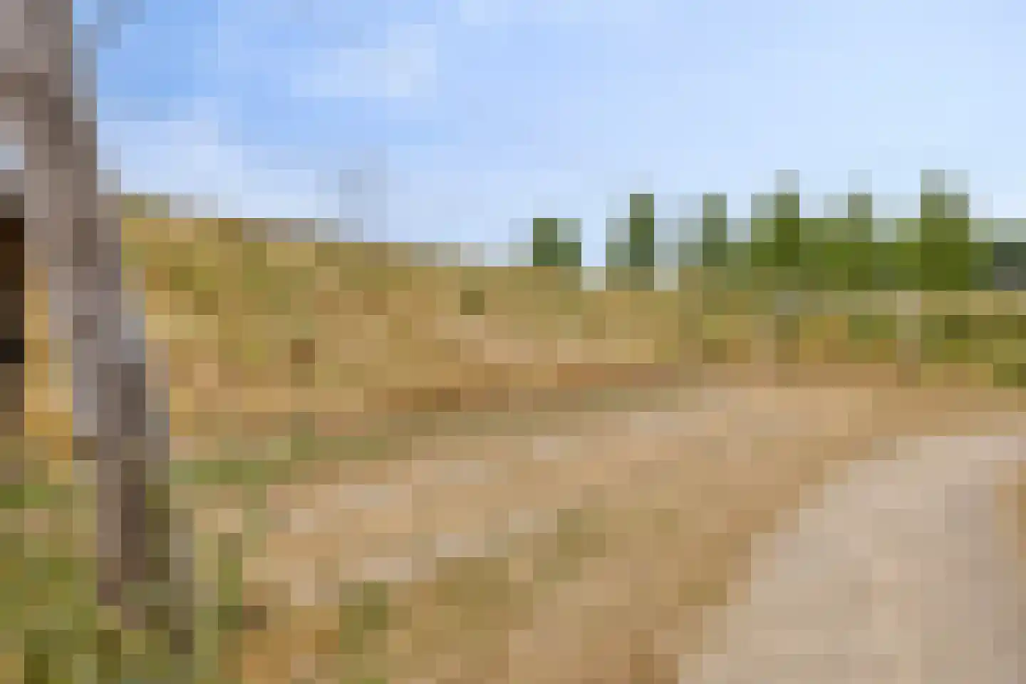Broekbeemd 19 Best thumbnail 51