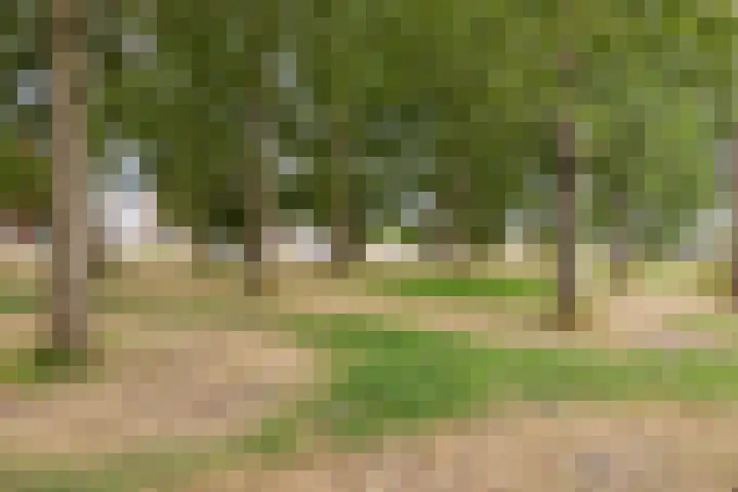 Broekbeemd 19 Best thumbnail 52
