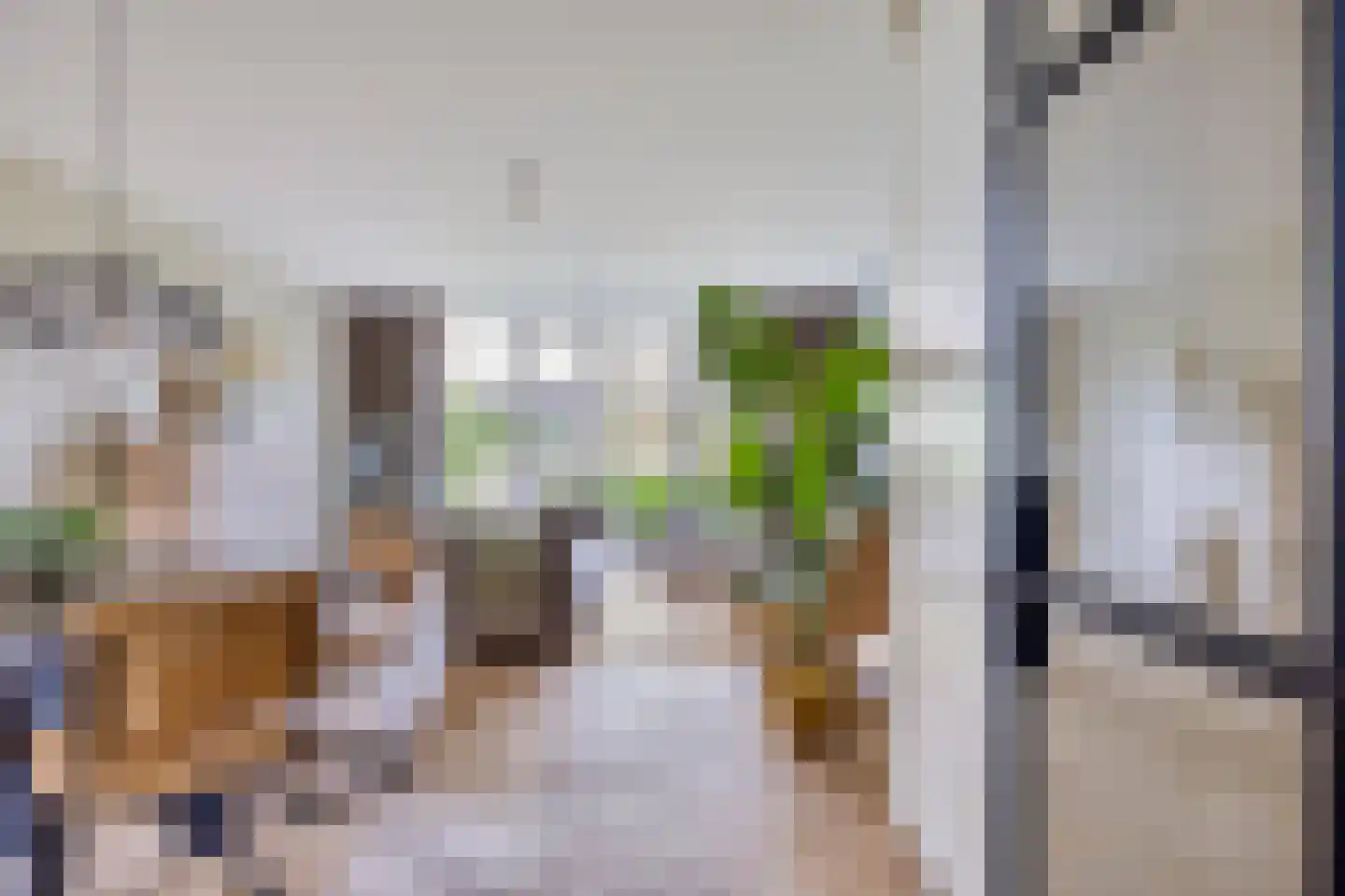 Broekbeemd 19 Best thumbnail 8