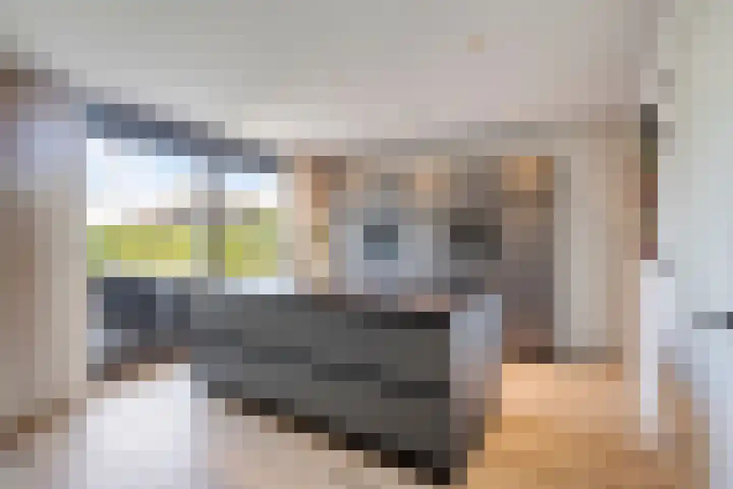 Broekbeemden 71 Heel thumbnail 17