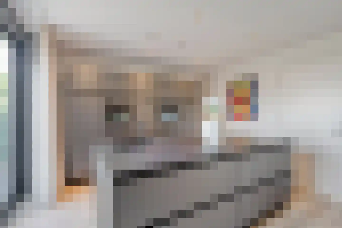 Broekbeemden 71 Heel thumbnail 18