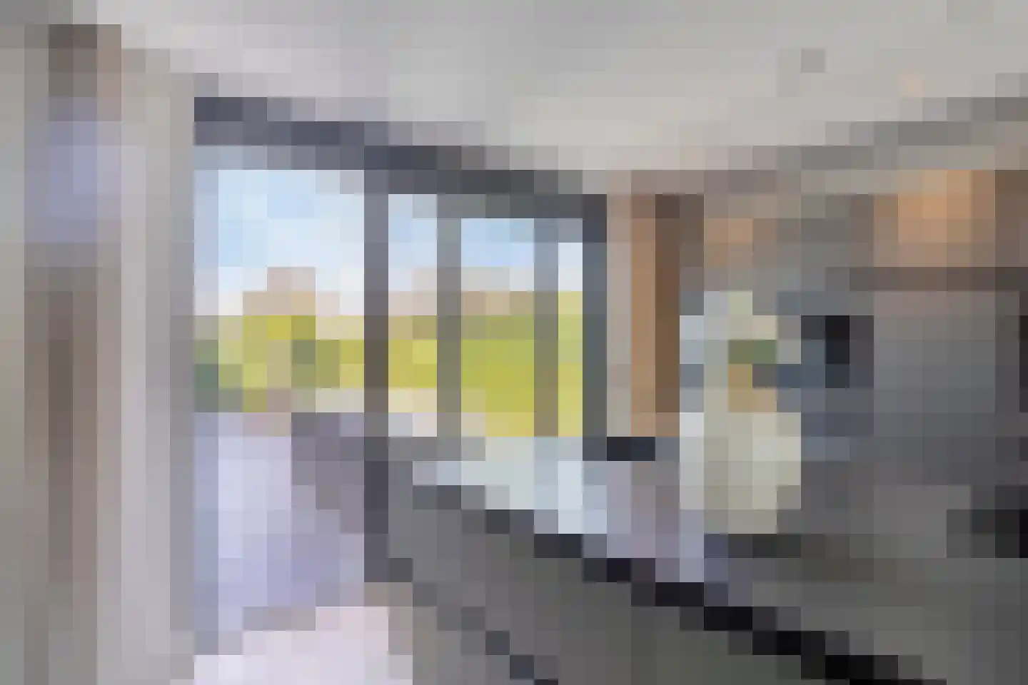 Broekbeemden 71 Heel thumbnail 22