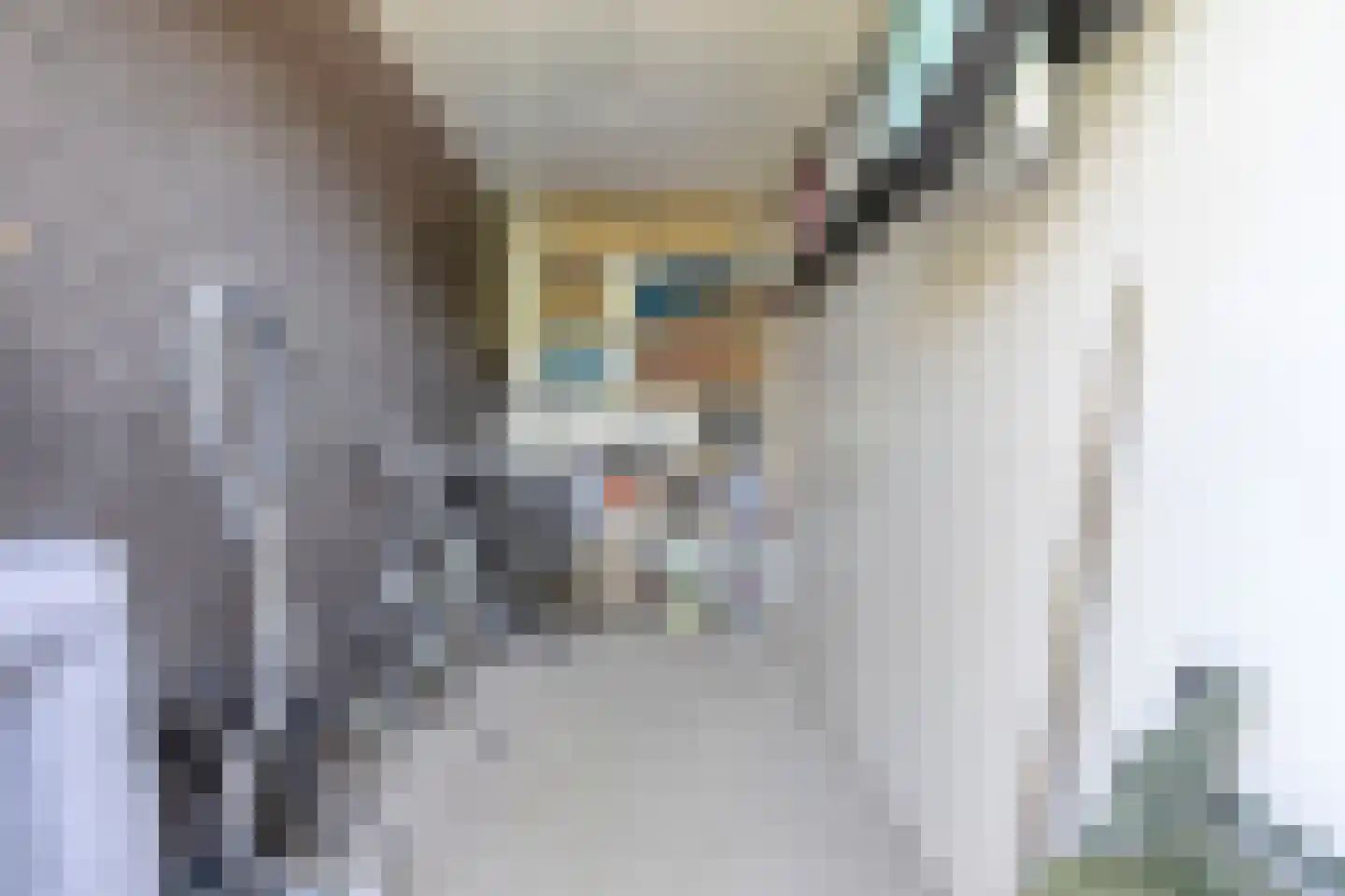 Broekbeemden 71 Heel thumbnail 30