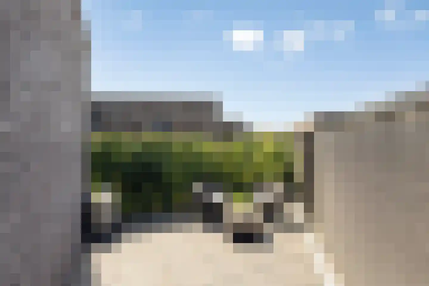 Broekbeemden 71 Heel thumbnail 34