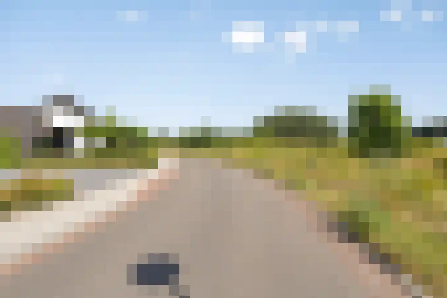 Broekbeemden 71 Heel thumbnail 37