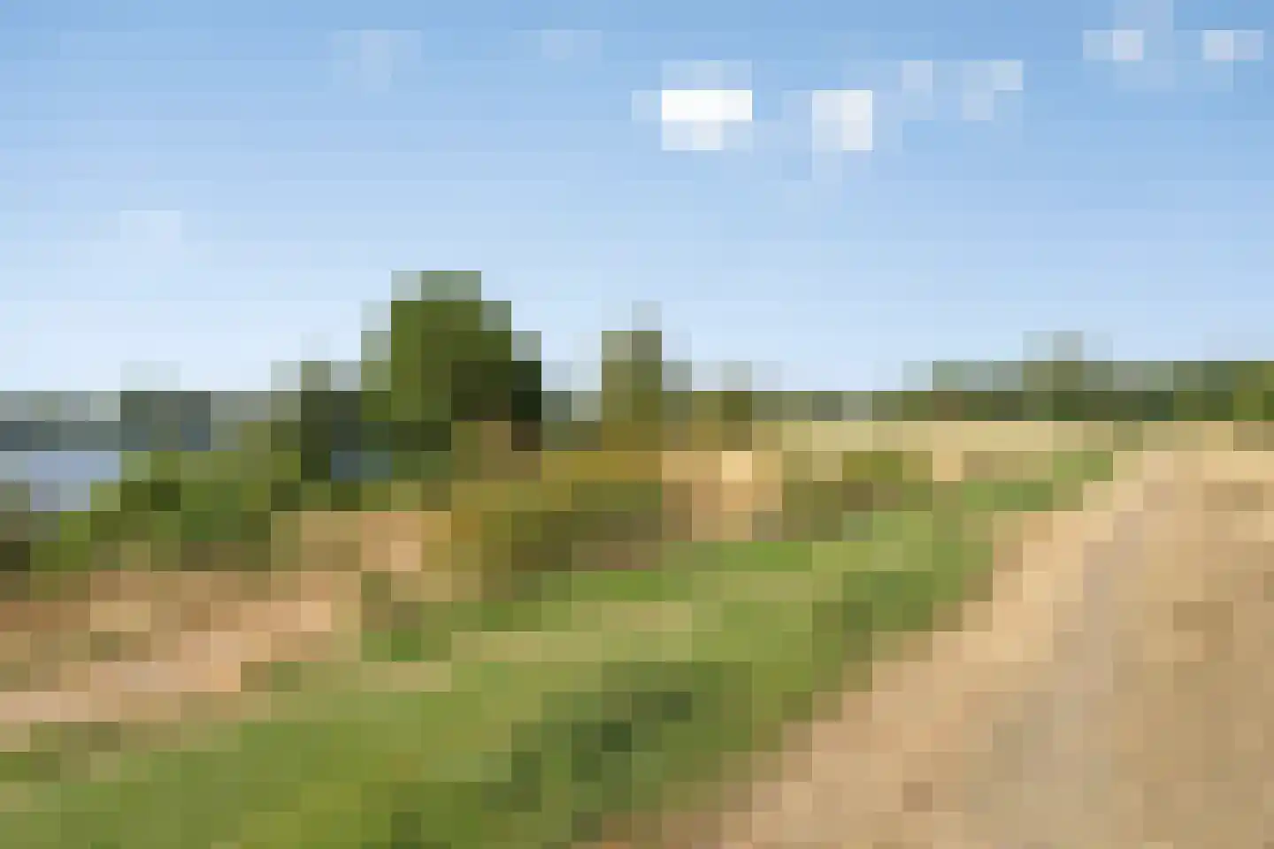 Broekbeemden 71 Heel thumbnail 42