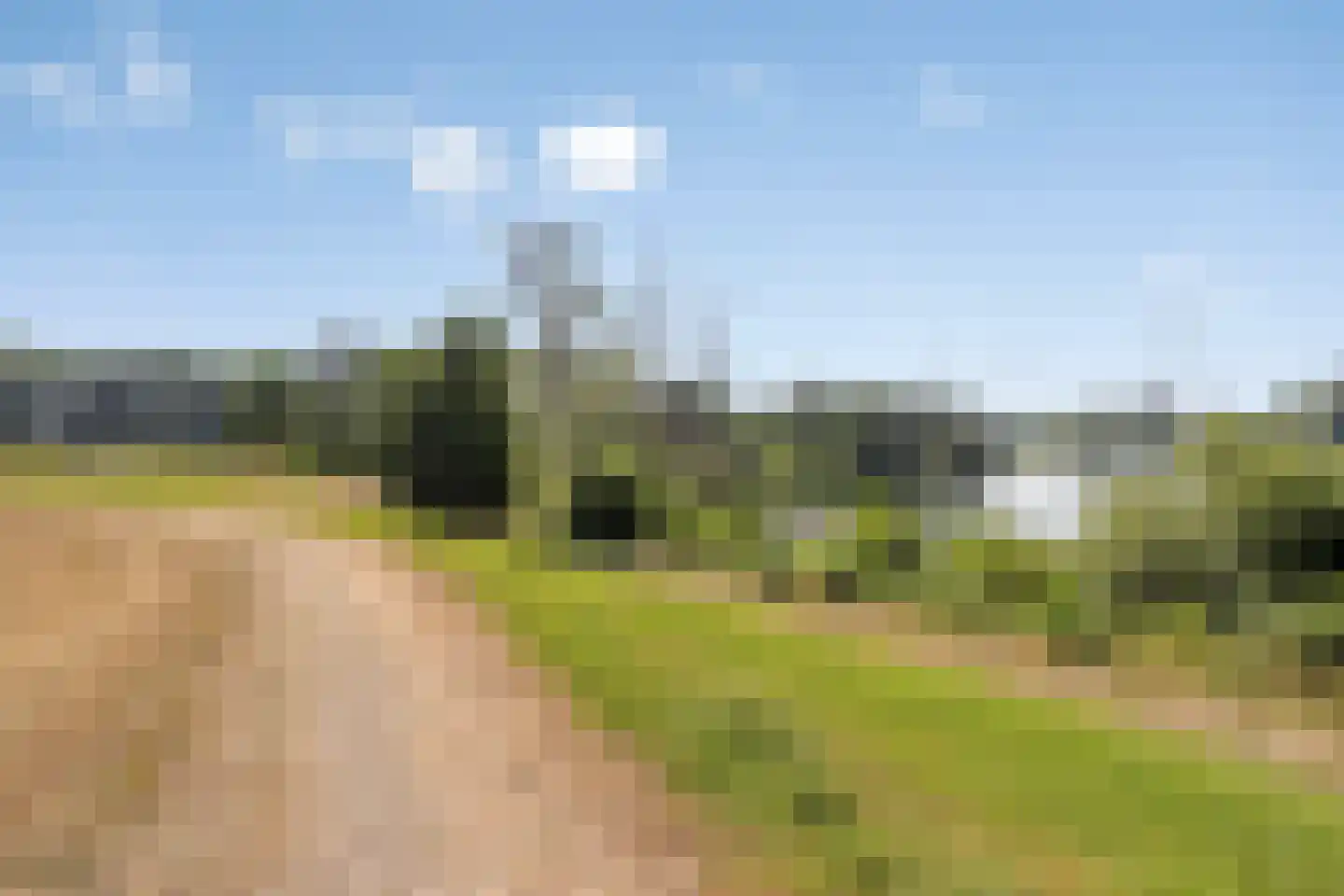 Broekbeemden 71 Heel thumbnail 44
