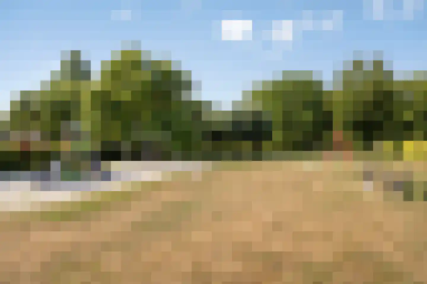 Broekbeemden 71 Heel thumbnail 45