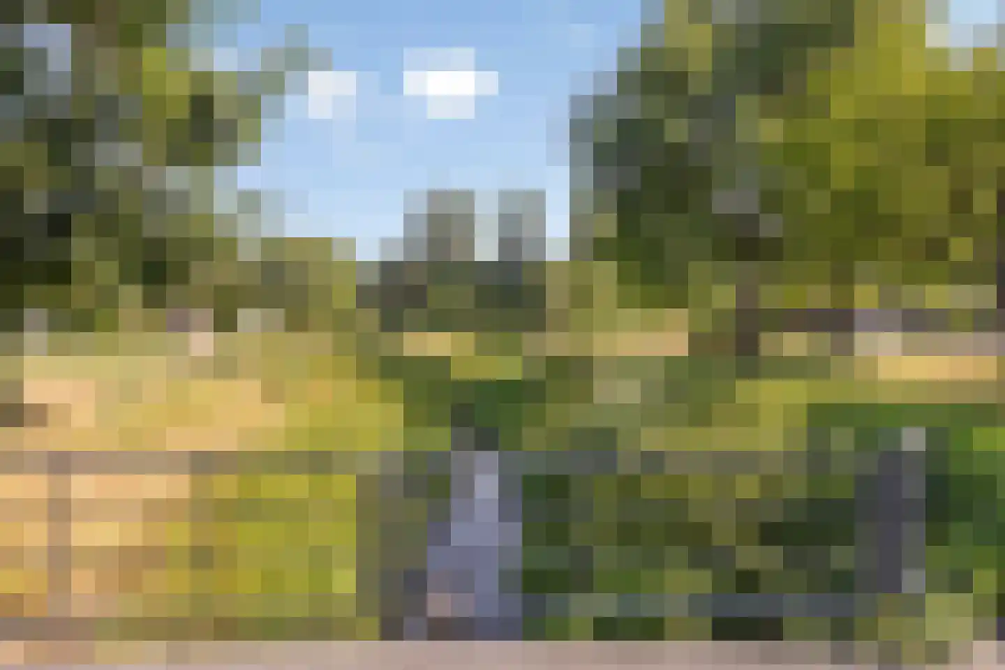 Broekbeemden 71 Heel thumbnail 46