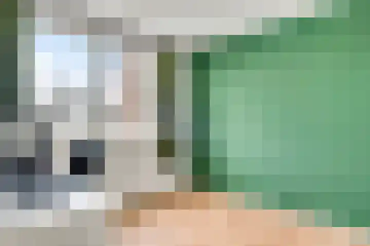 Broekbeemden 8 Heel thumbnail 15