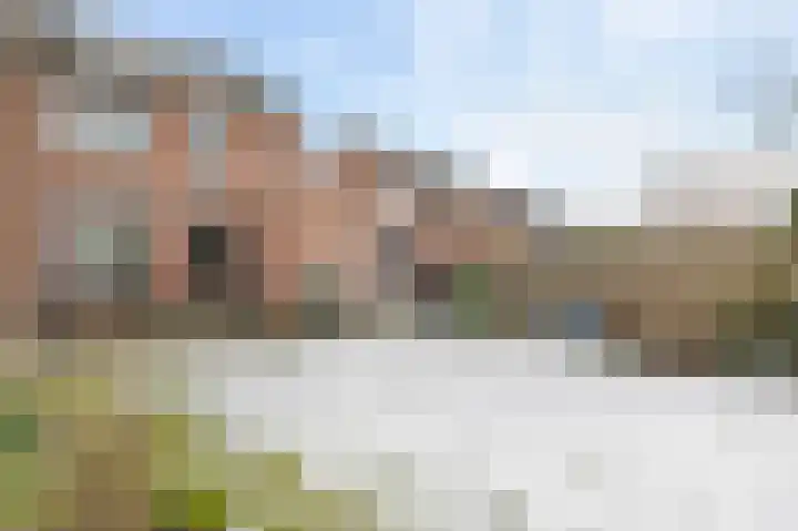 Broekbeemden 8 Heel thumbnail 22