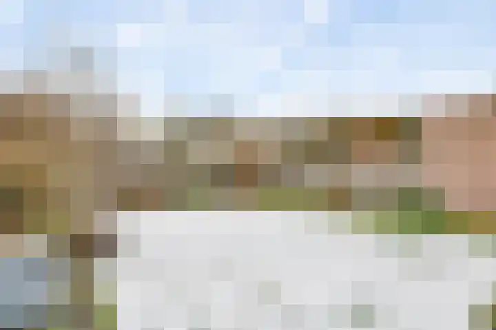 Broekbeemden 8 Heel thumbnail 23