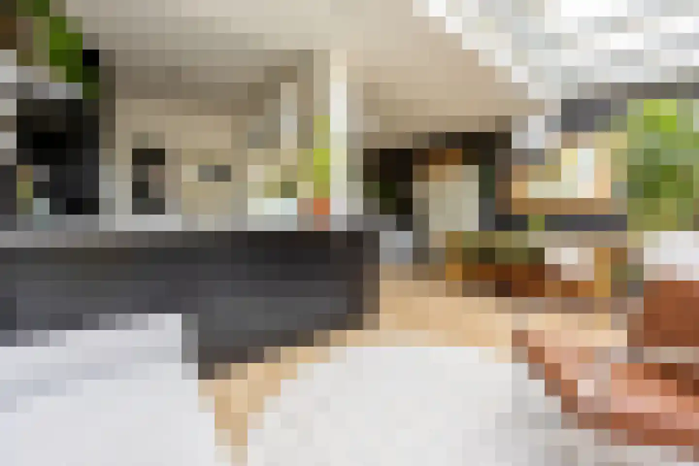 Broekbergenlaan 37 Santpoort-Noord thumbnail 17
