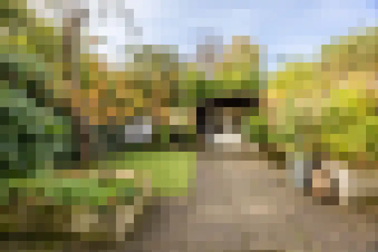 Broekbergenlaan 37 Santpoort-Noord thumbnail 19