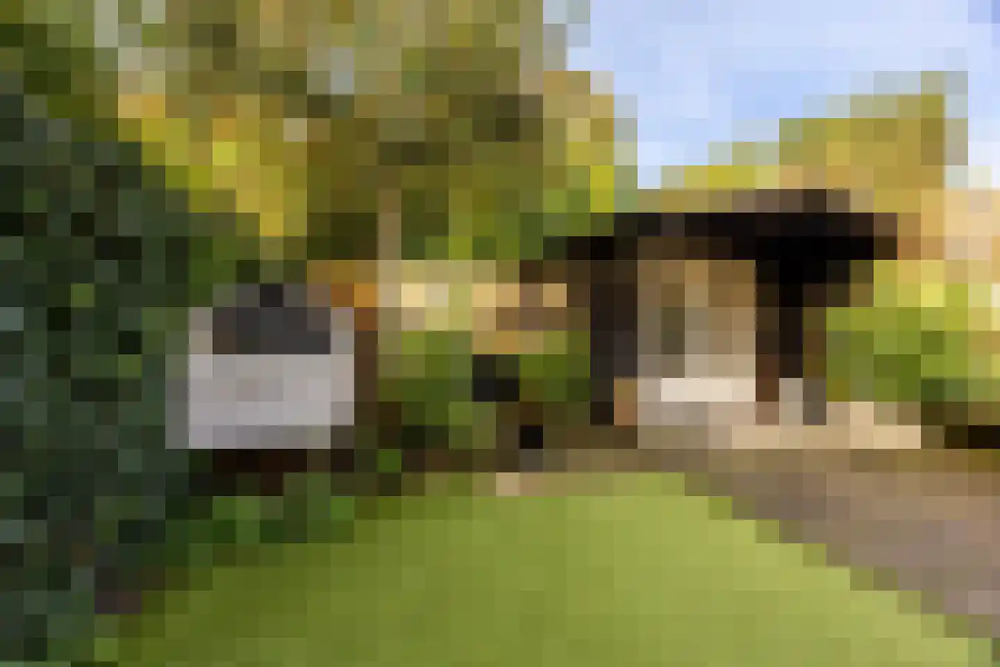 Broekbergenlaan 37 Santpoort-Noord thumbnail 20