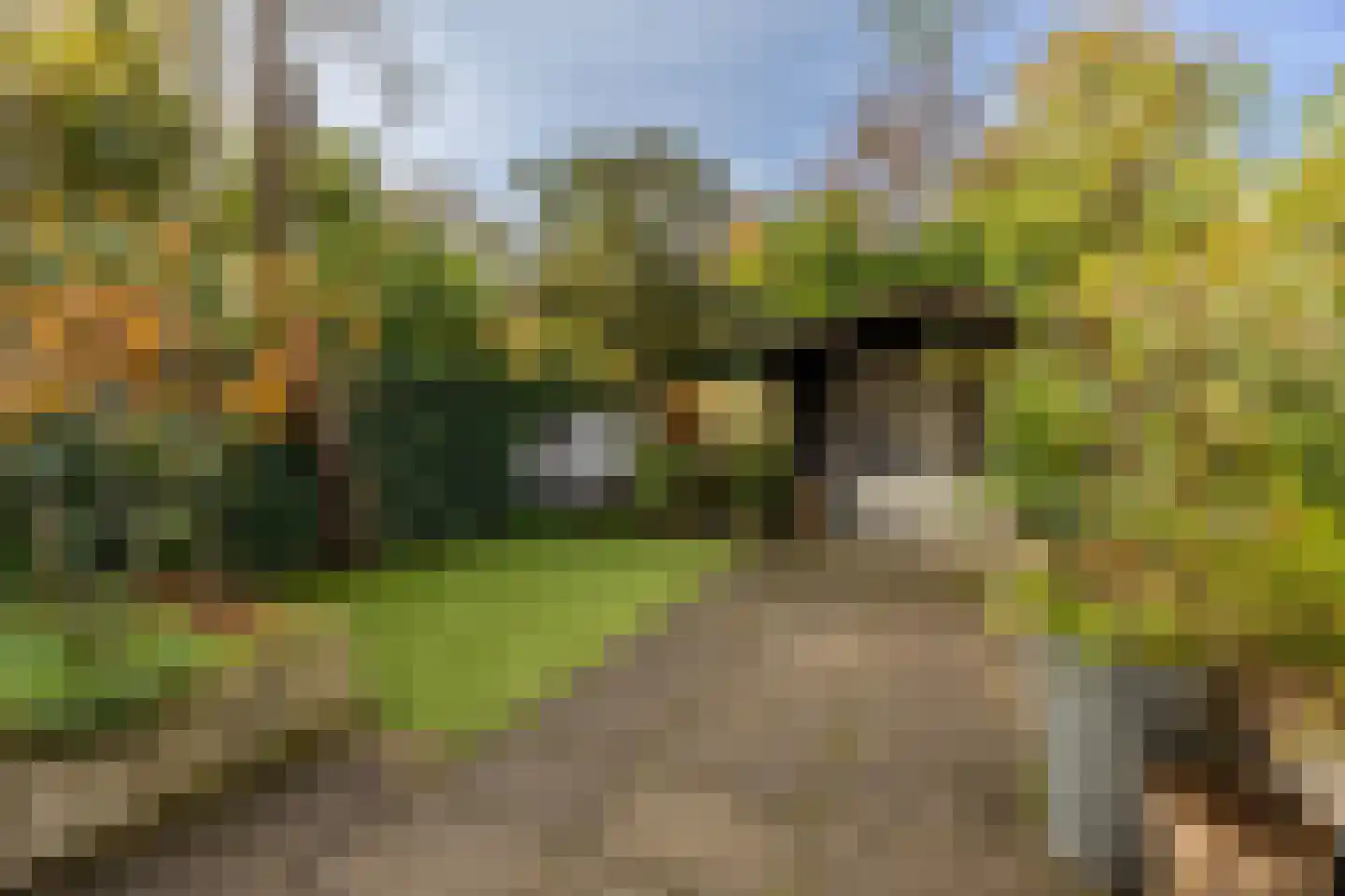 Broekbergenlaan 37 Santpoort-Noord thumbnail 5