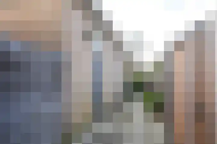 Broekbergenlaan 42 RD Santpoort-Noord thumbnail 48