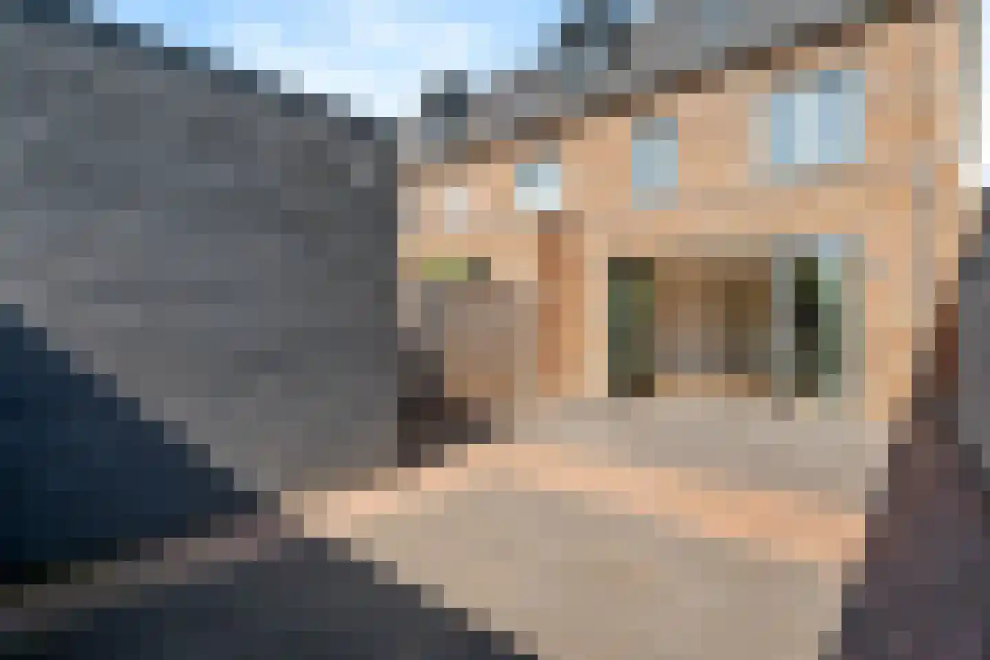 Broekbos 10 Nijkerk thumbnail 28