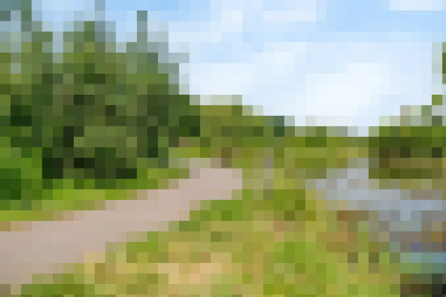 Broekbos 10 Nijkerk thumbnail 33