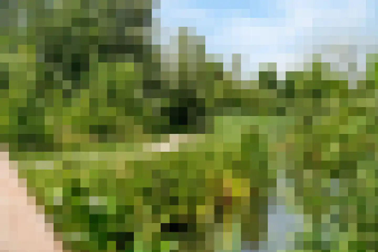 Broekbos 10 Nijkerk thumbnail 34