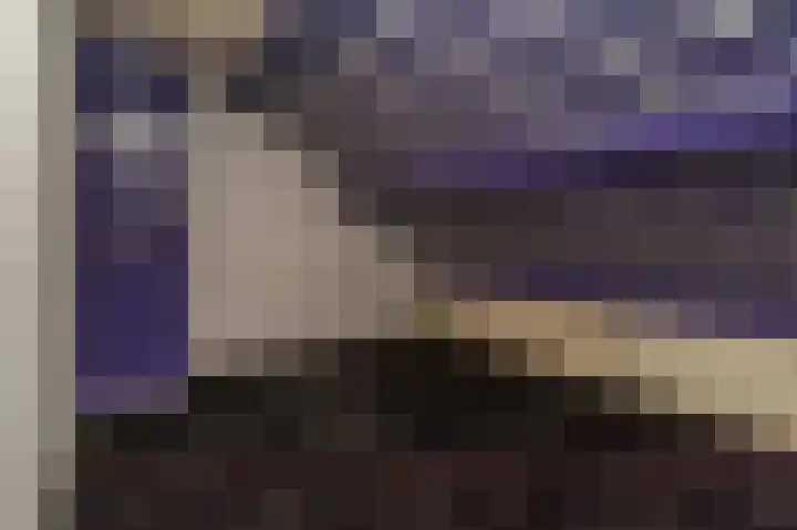 Broekbos 23 Kortenhoef thumbnail 14