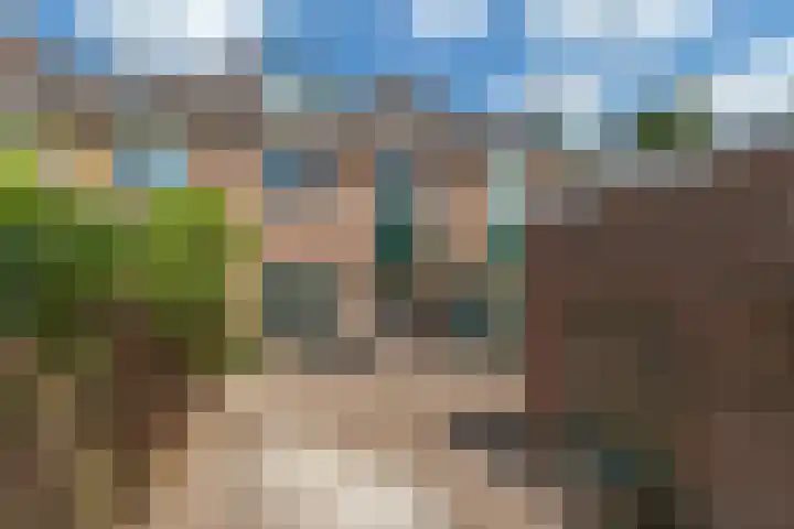 Broekbos 23 Kortenhoef thumbnail 15