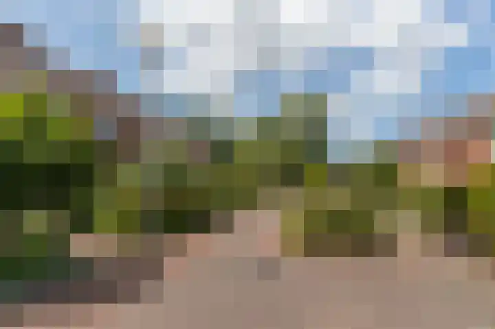 Broekbos 23 Kortenhoef thumbnail 19