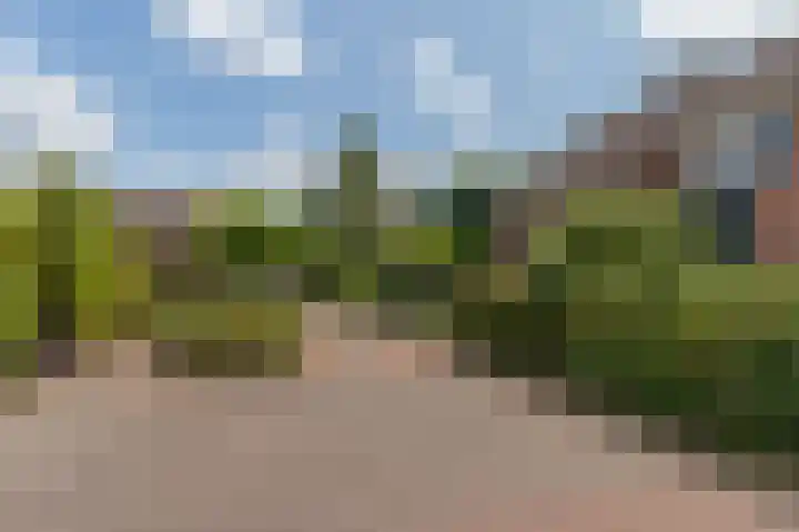 Broekbos 23 Kortenhoef thumbnail 20
