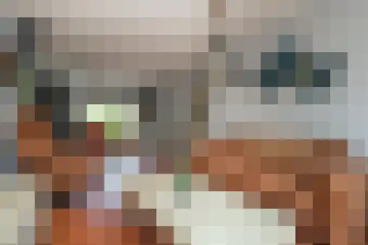 Broekbos 23 Kortenhoef thumbnail 4