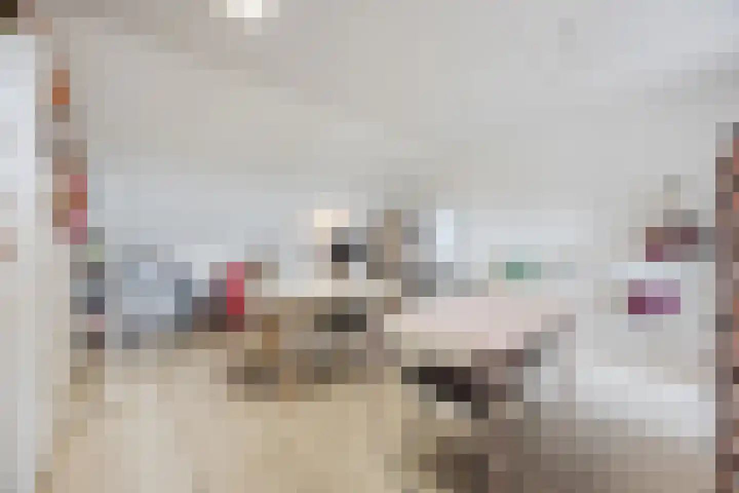 Broekbos 38 Oosterhout thumbnail 32