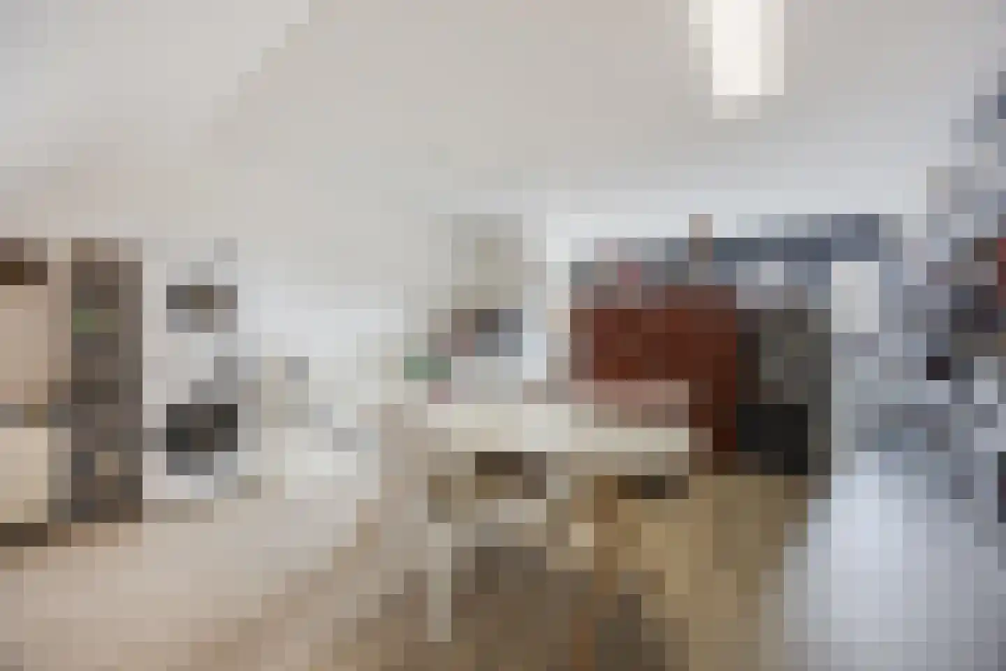 Broekbos 38 Oosterhout thumbnail 33