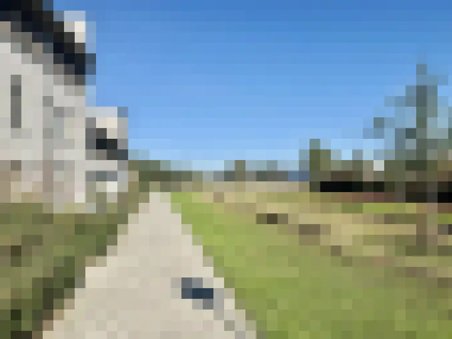 Broekbos 38 Oosterhout thumbnail 39