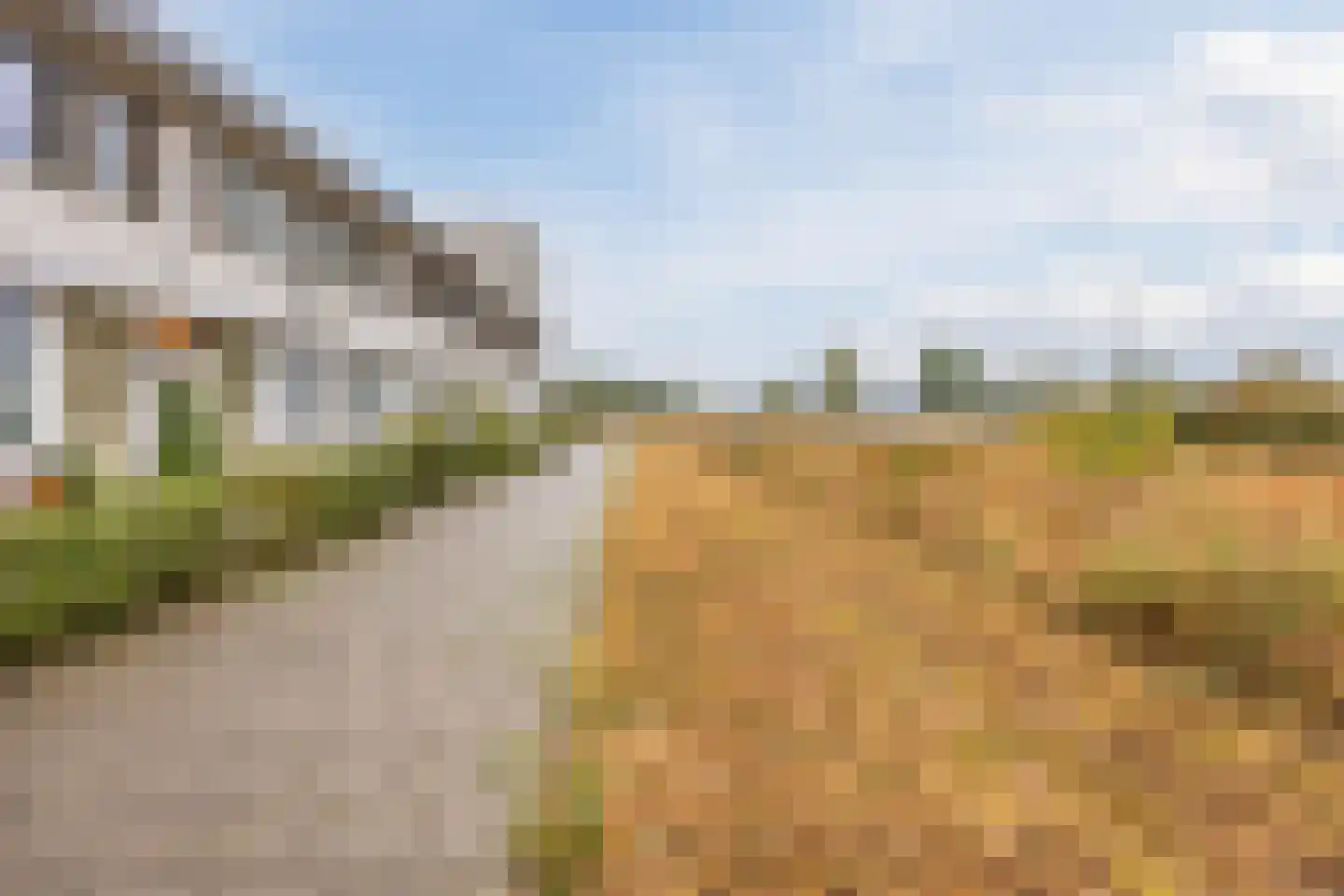Broekbos 38 Oosterhout thumbnail 41