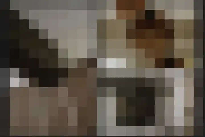 Broekdijk 1 Kesteren thumbnail 11