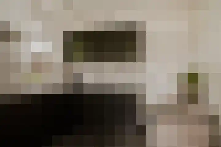 Broekdijk 1 Kesteren thumbnail 12