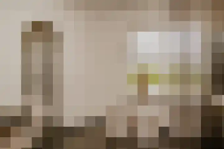 Broekdijk 1 Kesteren thumbnail 14