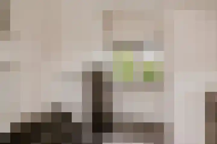 Broekdijk 1 Kesteren thumbnail 16