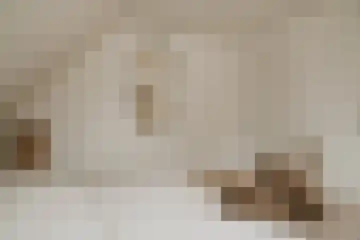 Broekdijk 1 Kesteren thumbnail 21