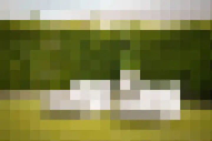 Broekdijk 1 Kesteren thumbnail 33