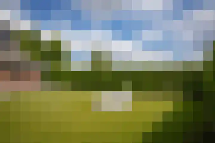 Broekdijk 1 Kesteren thumbnail 34