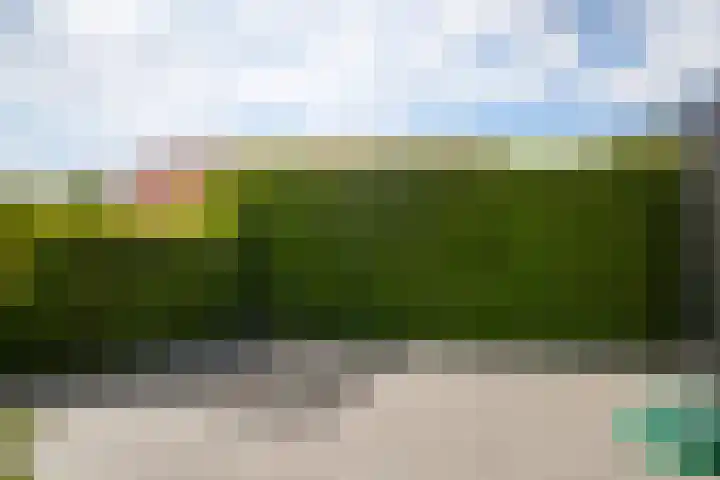 Broekdijk 1 Kesteren thumbnail 35