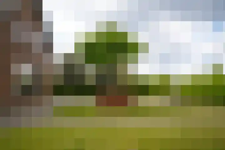 Broekdijk 1 Kesteren thumbnail 38