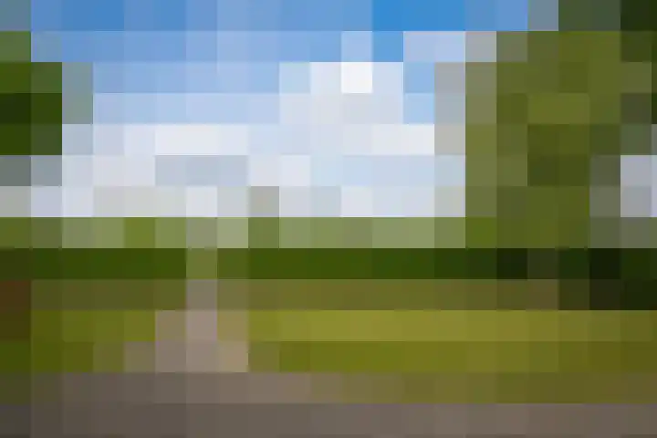 Broekdijk 1 Kesteren thumbnail 39