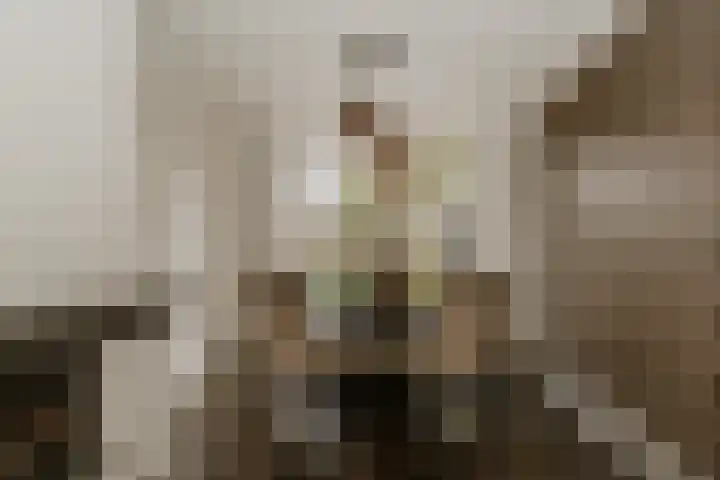 Broekdijk 1 Kesteren thumbnail 4
