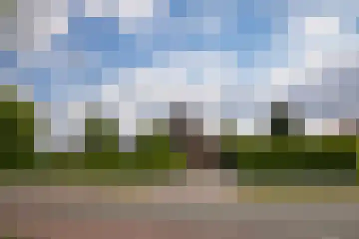 Broekdijk 1 Kesteren thumbnail 43