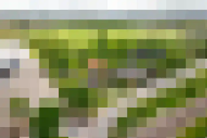 Broekdijk 1 Kesteren thumbnail 45