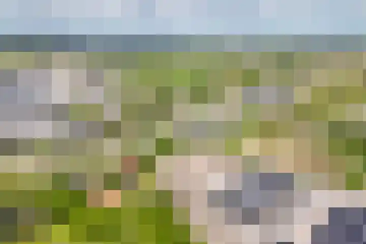 Broekdijk 1 Kesteren thumbnail 46