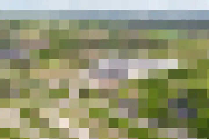 Broekdijk 1 Kesteren thumbnail 47