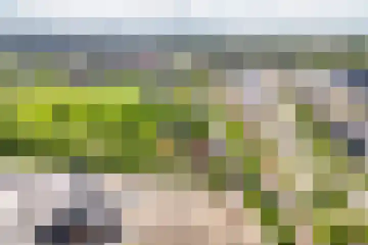 Broekdijk 1 Kesteren thumbnail 48