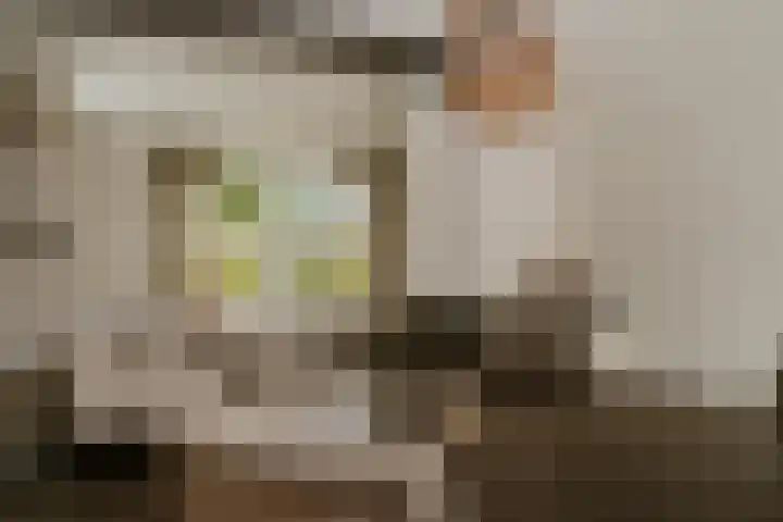 Broekdijk 1 Kesteren thumbnail 9